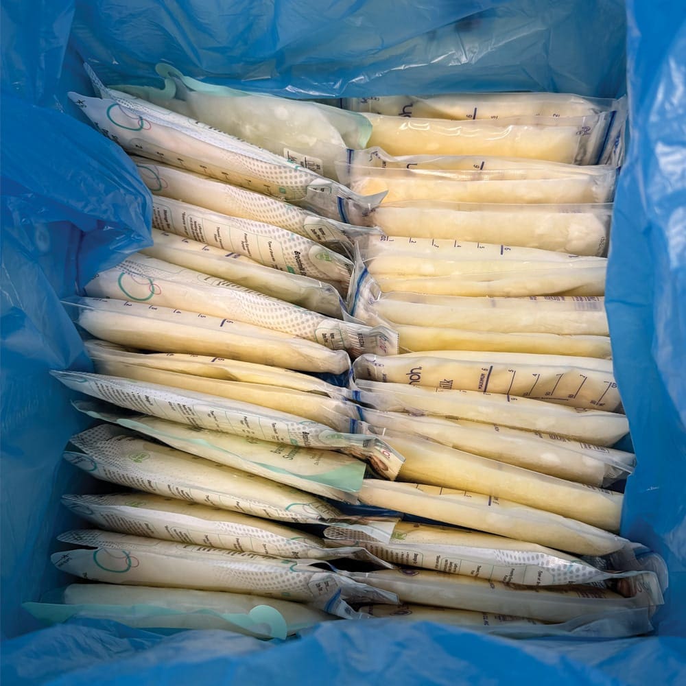 Lansinoh Breast Milk Storage Pouches