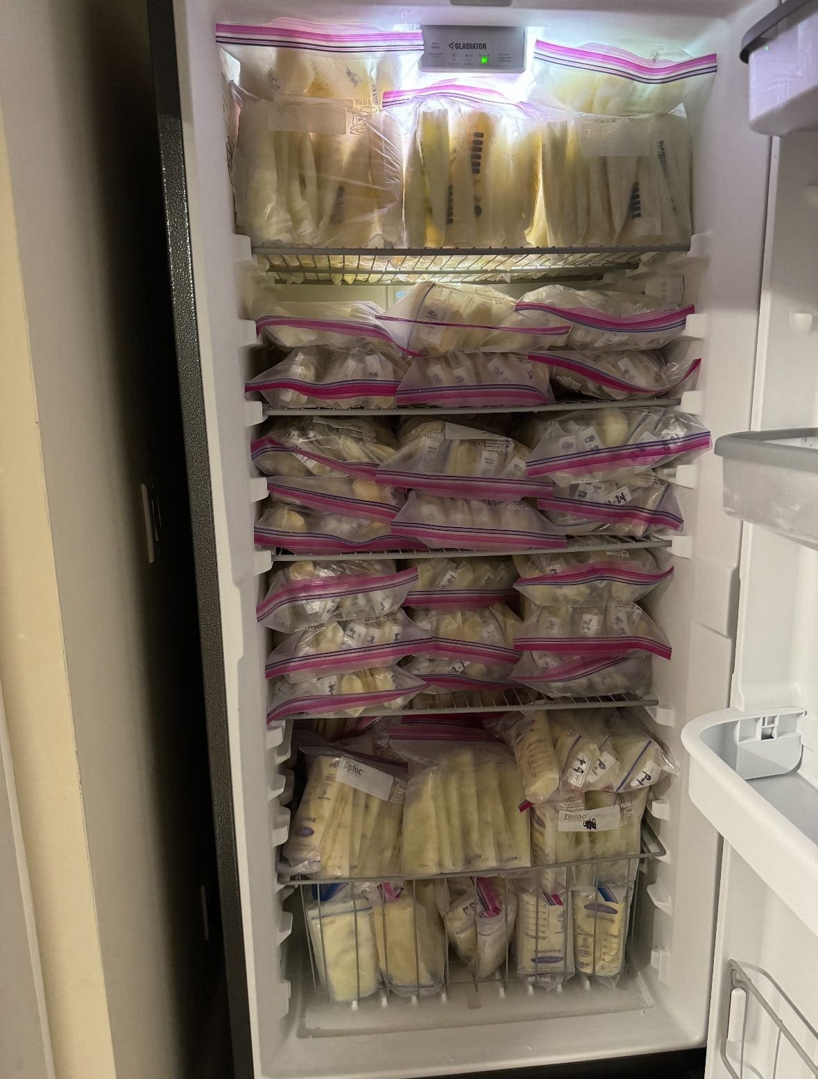 Freezer Full of Frozen Breast milk