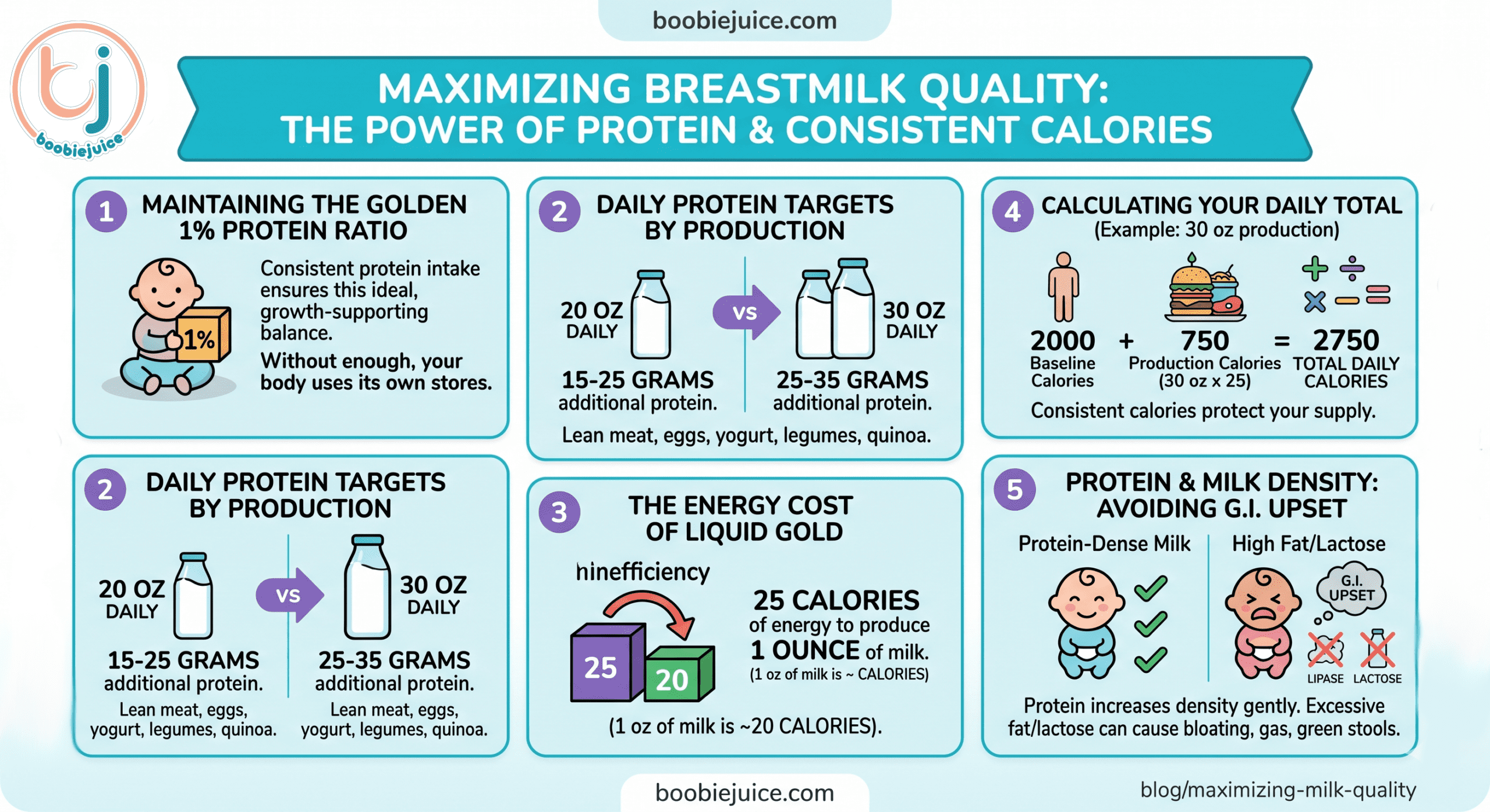 Infographic explaining the importance of protein for breast milk density, daily caloric needs for lactation, and how to avoid infant G.I. upset.
